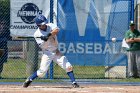 Baseball vs Babson  Wheaton College Baseball vs Babson during Championship game of the NEWMAC Championship hosted by Wheaton. - (Photo by Keith Nordstrom) : Wheaton, baseball, NEWMAC